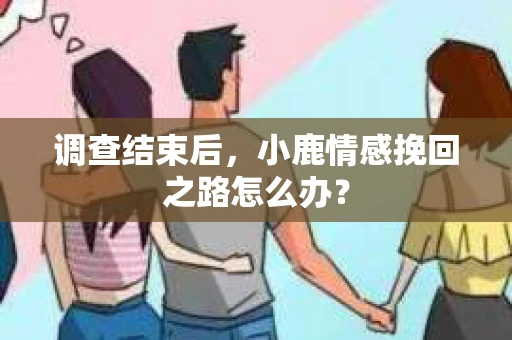 调查结束后，小鹿情感挽回之路怎么办？