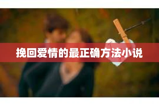 挽回爱情的最正确方法小说