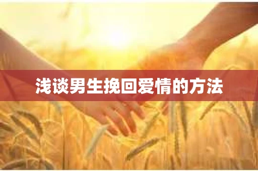 浅谈男生挽回爱情的方法