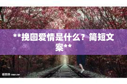 **挽回爱情是什么？简短文案**