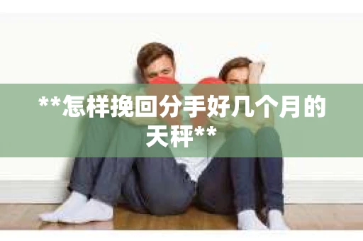 **怎样挽回分手好几个月的天秤**