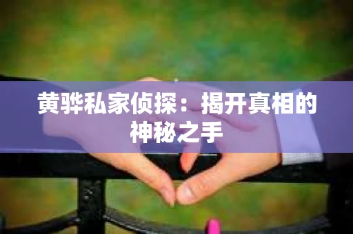 黄骅私家侦探：揭开真相的神秘之手