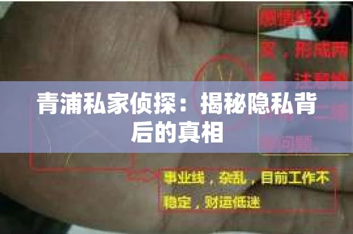 青浦私家侦探：揭秘隐私背后的真相