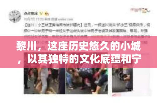 黎川，这座历史悠久的小城，以其独特的文化底蕴和宁静的生活节奏吸引着无数游客。然而，在这样一个看似平静的城市里，你是否会好奇，有没有私家侦探机构的存在呢？今天，就让我带你一探究竟。