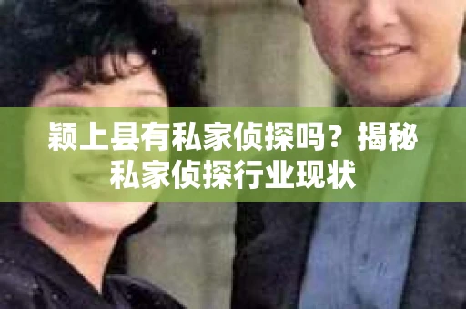 颖上县有私家侦探吗？揭秘私家侦探行业现状
