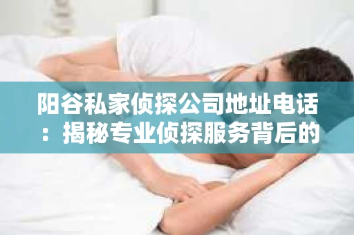 阳谷私家侦探公司地址电话：揭秘专业侦探服务背后的故事