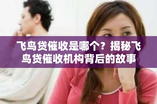 飞鸟贷催收是哪个？揭秘飞鸟贷催收机构背后的故事