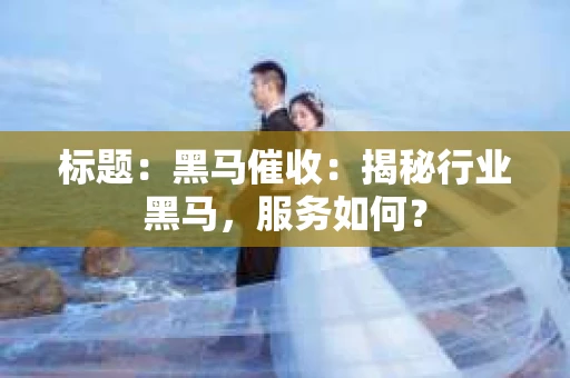 标题：黑马催收：揭秘行业黑马，服务如何？