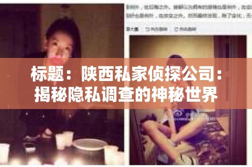 标题：陕西私家侦探公司：揭秘隐私调查的神秘世界