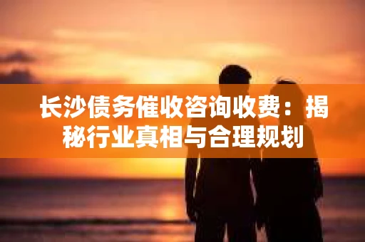 长沙债务催收咨询收费：揭秘行业真相与合理规划