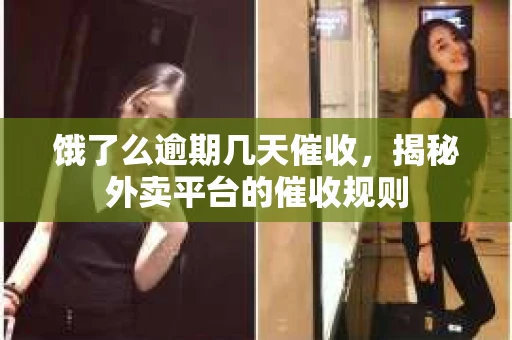 饿了么逾期几天催收，揭秘外卖平台的催收规则