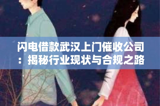 闪电借款武汉上门催收公司：揭秘行业现状与合规之路