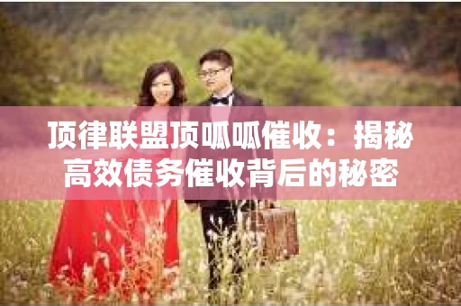 顶律联盟顶呱呱催收：揭秘高效债务催收背后的秘密