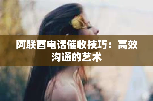 阿联酋电话催收技巧：高效沟通的艺术