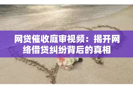 网贷催收庭审视频：揭开网络借贷纠纷背后的真相