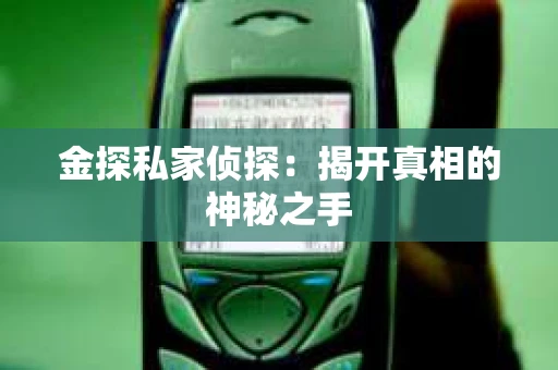 金探私家侦探：揭开真相的神秘之手