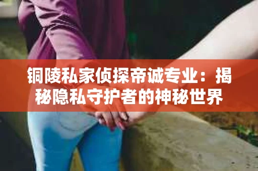 铜陵私家侦探帝诚专业：揭秘隐私守护者的神秘世界