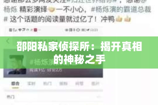 邵阳私家侦探所：揭开真相的神秘之手