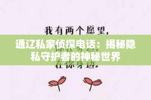 通辽私家侦探电话：揭秘隐私守护者的神秘世界