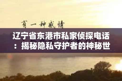辽宁省东港市私家侦探电话：揭秘隐私守护者的神秘世界