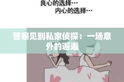 警察见到私家侦探：一场意外的邂逅