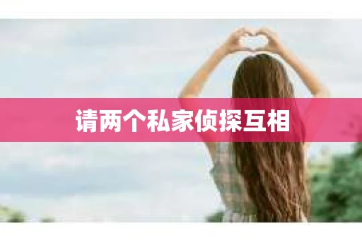 请两个私家侦探互相