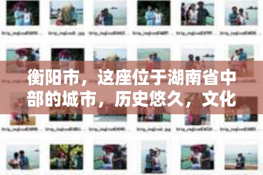衡阳市，这座位于湖南省中部的城市，历史悠久，文化底蕴深厚。随着社会的发展，人们对于个人隐私的保护意识逐渐增强，私家侦探机构也应运而生。那么，衡阳市是否有私家侦探机构呢？今天，我们就来聊聊这个话题。