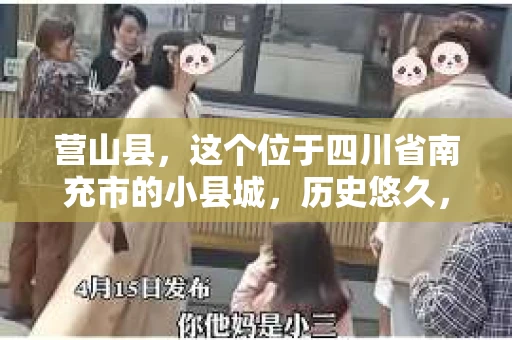 营山县，这个位于四川省南充市的小县城，历史悠久，风景秀丽。但在这个宁静的小县城里，你是否会好奇，有没有私家侦探的存在呢？今天，我就来和大家聊聊这个话题。