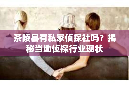茶陵县有私家侦探社吗？揭秘当地侦探行业现状