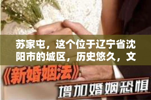 苏家屯，这个位于辽宁省沈阳市的城区，历史悠久，文化底蕴深厚。近年来，随着社会的发展，人们对于私家侦探的需求也逐渐增加。那么，苏家屯有私家侦探吗？今天，我们就来聊聊这个话题。