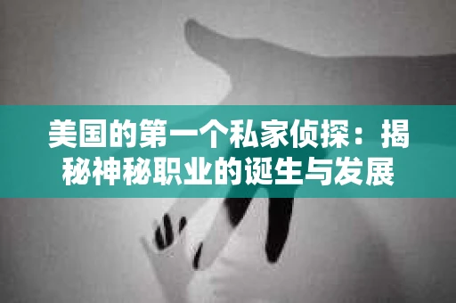 美国的第一个私家侦探：揭秘神秘职业的诞生与发展