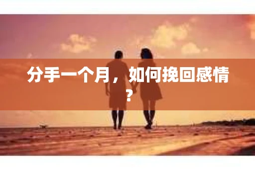 分手一个月，如何挽回感情？