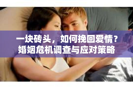 一块砖头，如何挽回爱情？婚姻危机调查与应对策略