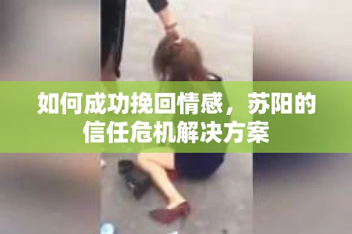 如何成功挽回情感，苏阳的信任危机解决方案