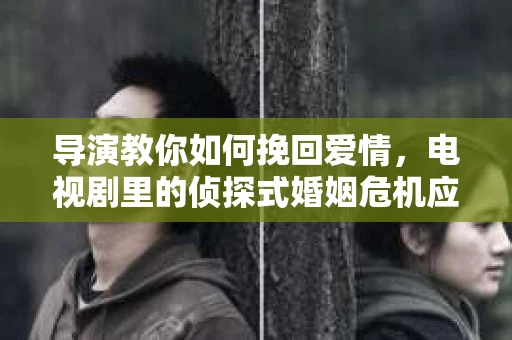 导演教你如何挽回爱情，电视剧里的侦探式婚姻危机应对法