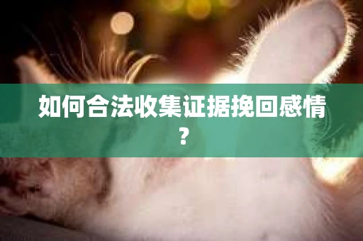 如何合法收集证据挽回感情？