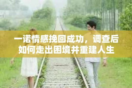 一诺情感挽回成功，调查后如何走出困境并重建人生
