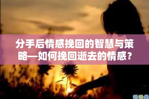 分手后情感挽回的智慧与策略—如何挽回逝去的情感? 分手后情感挽回的智慧与策略—如何挽回逝去的情感?
